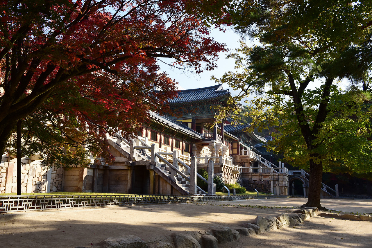 석굴암 불국사 관련사진