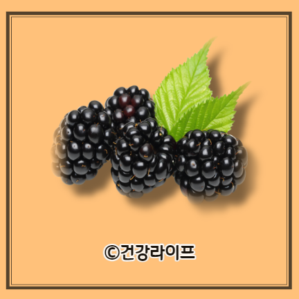 복분자 효능&#44; 복분자 수확시기&#44; 복분자 술 담는법