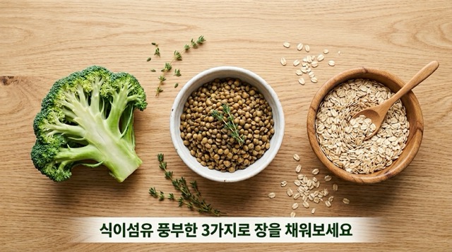 변비에 좋은 음식 브로콜리 콩류 귀리 현미 식이섬유 풍부