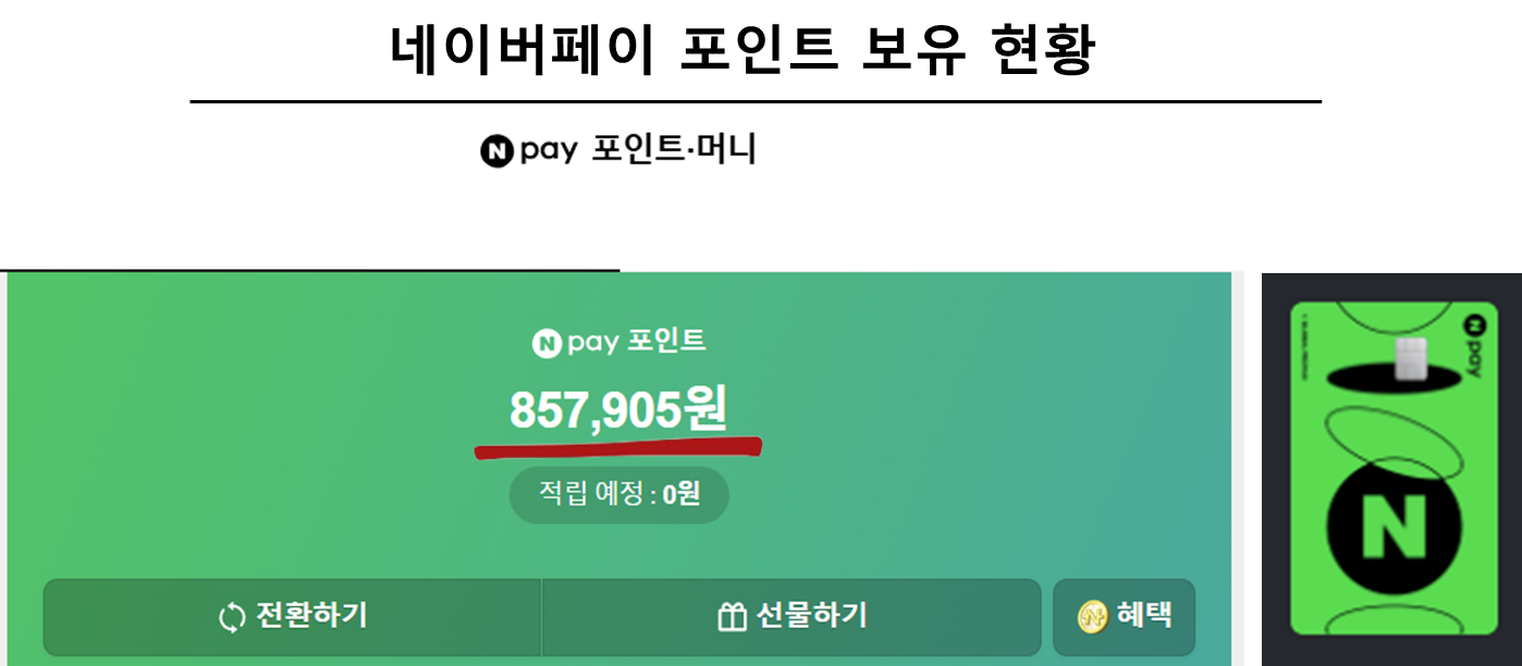 네이버페이 포인트 보유 현황