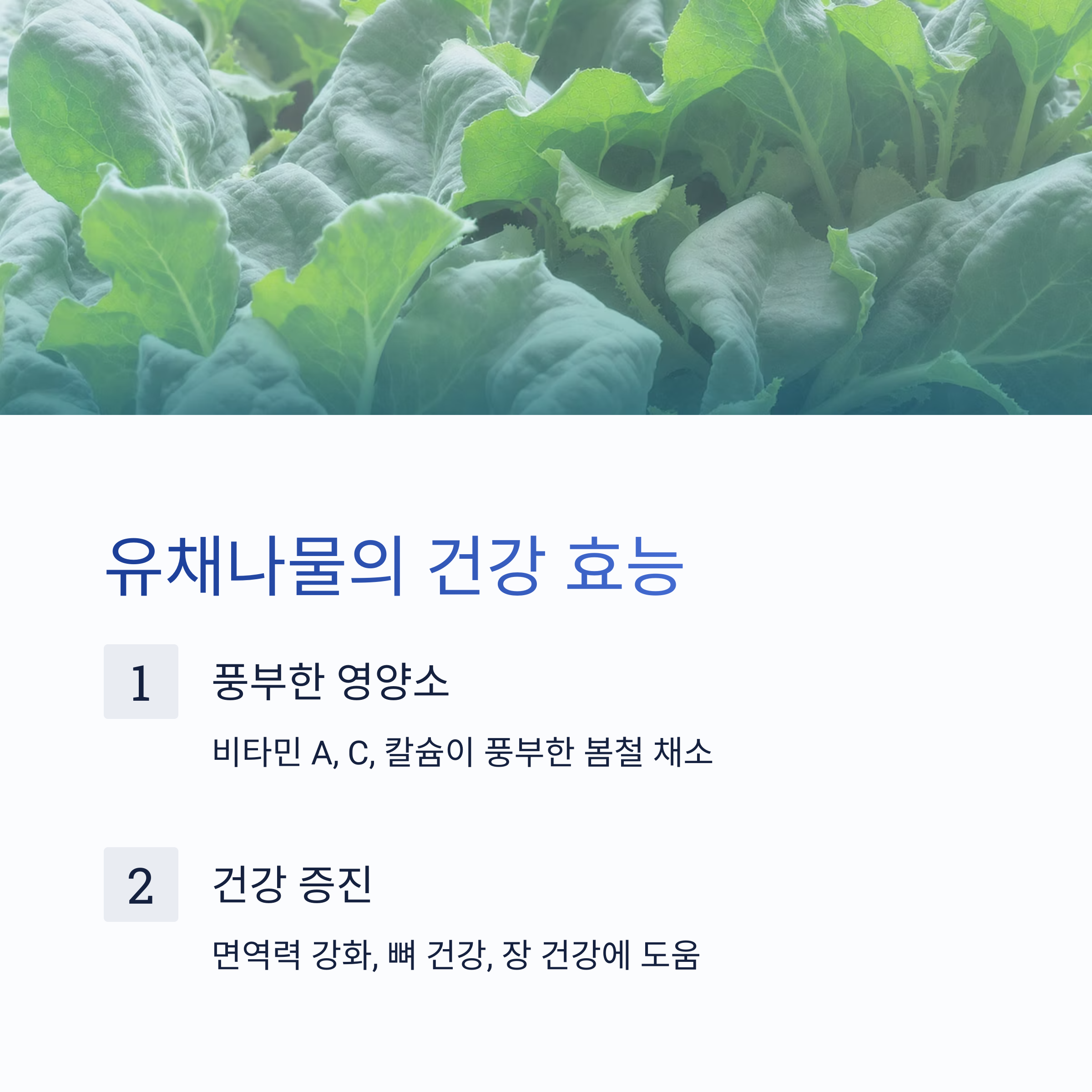 봄철 입맛 살리는 유채나물 겉절이, 저염 식단의 별미