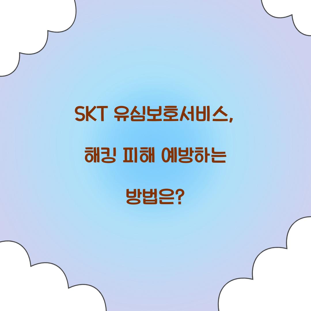 SKT 유심보호서비스