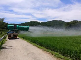 잡초 방제 전략 광폭멀칭 피복재 선발아 겨울관리_25