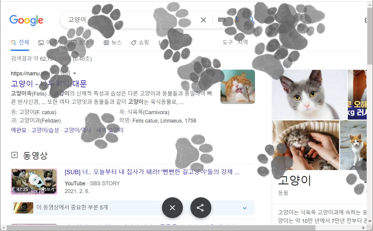 구글이스터에그_2