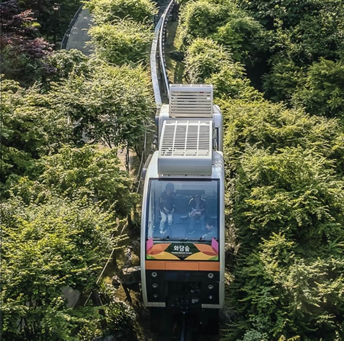 화담숲 모노레일