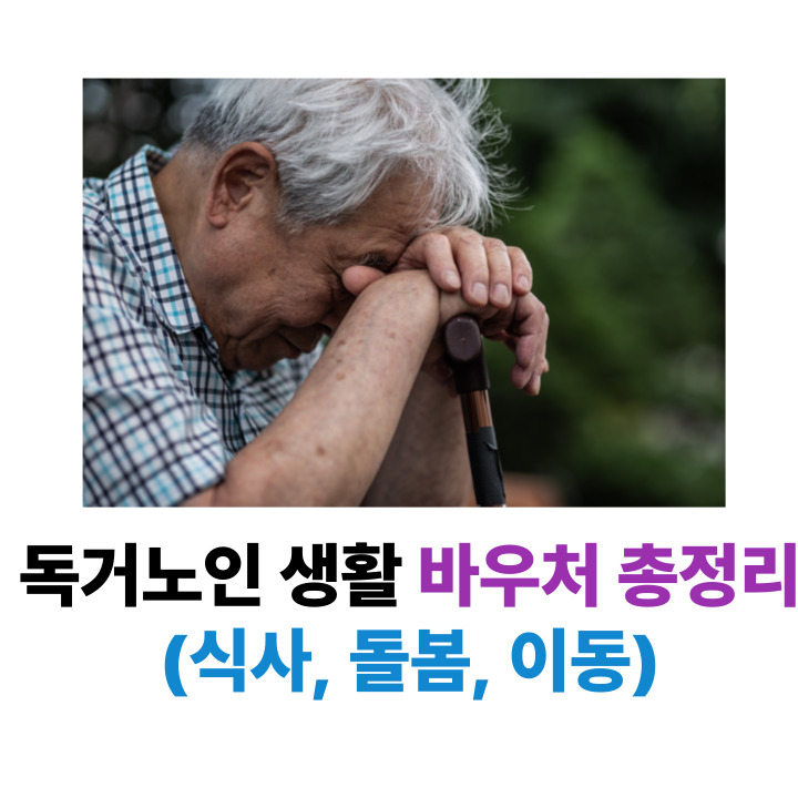 독거노인 생활 바우처 총정리 (식사, 돌봄, 이동)