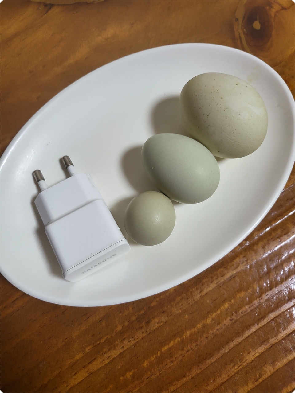 푸르스름한 청계 알