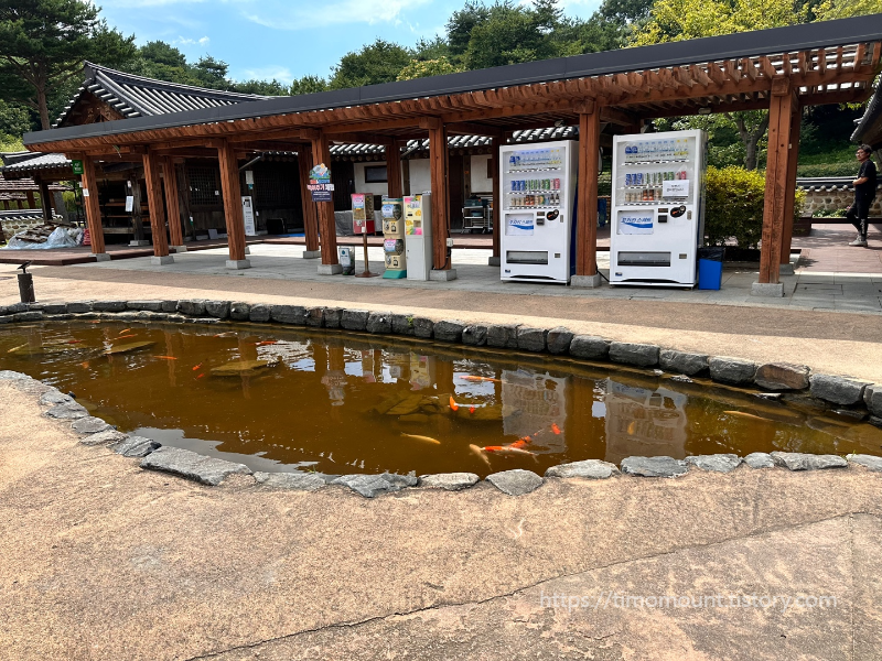 부여 롯데리조드 2박3일