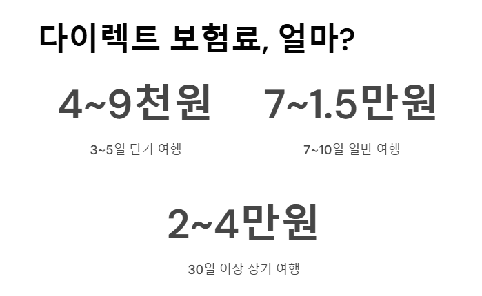 다이렉트 여행자 보험, 클릭 한 번으로 끝내는 여행 필수템
