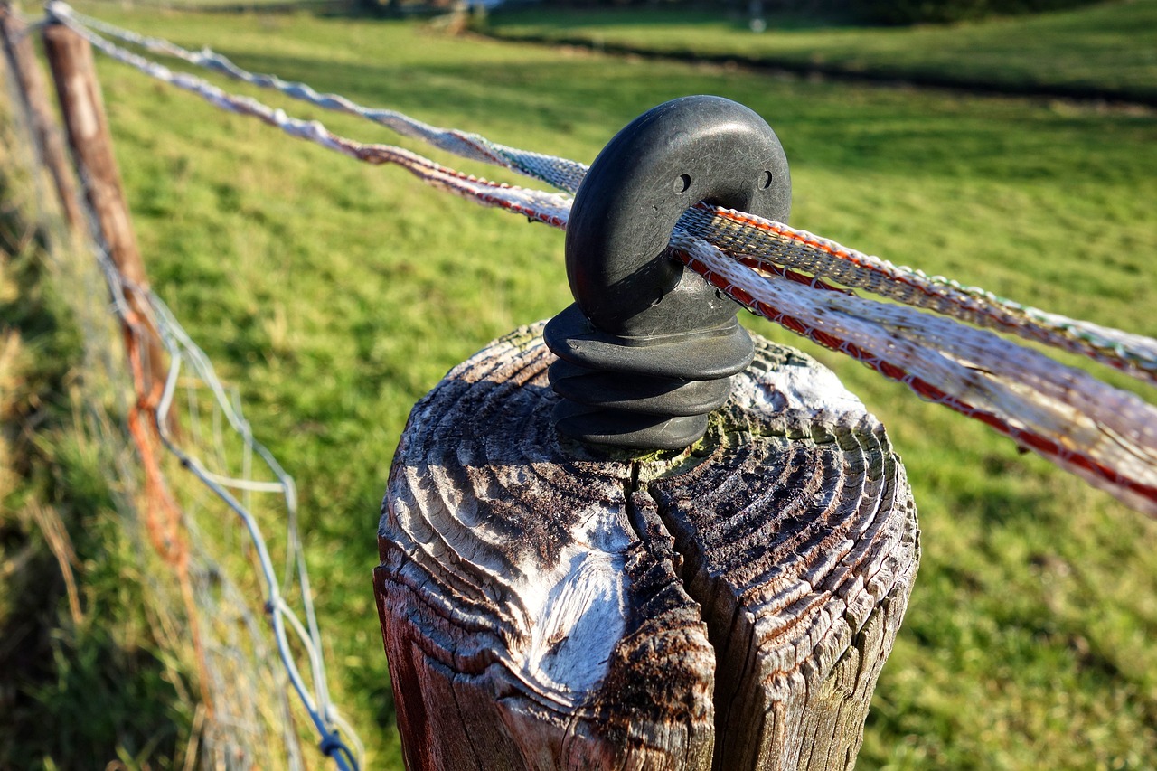 전기요금 할인 방법 알아보기 : 다자녀, 출산가구, 대가족 등