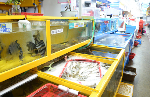 이웃집 수산물 가게 수족관에 표백제를 부어 수산물을 폐사시킨 여성이 항소심에서도 실형을 선고받았다. 본 기사와 무관한 사진. [사진=뉴시스]