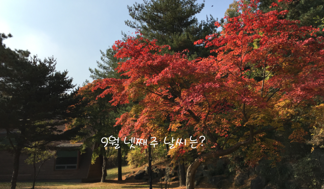 넷째 주 (9월 16일 - 9월 22일)