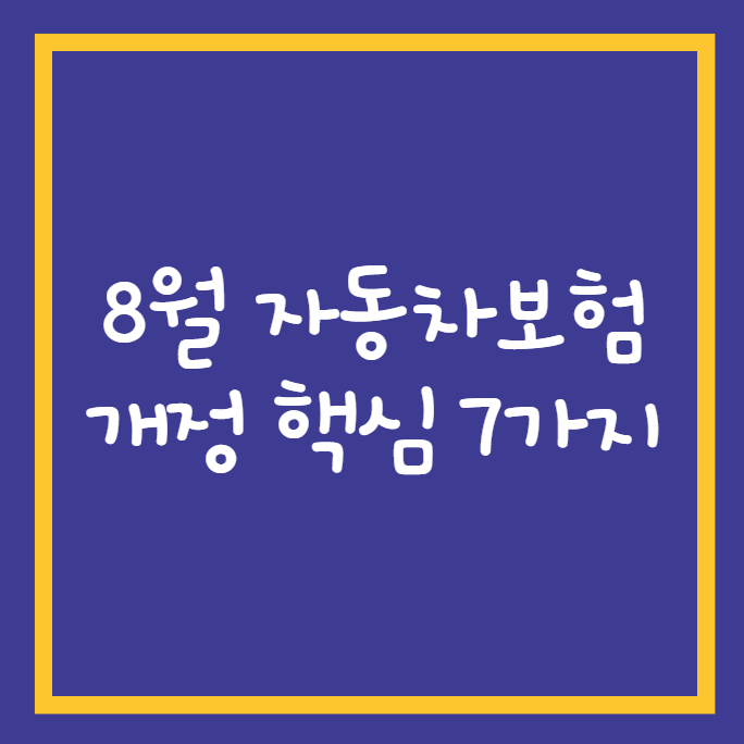 자동차보험개정