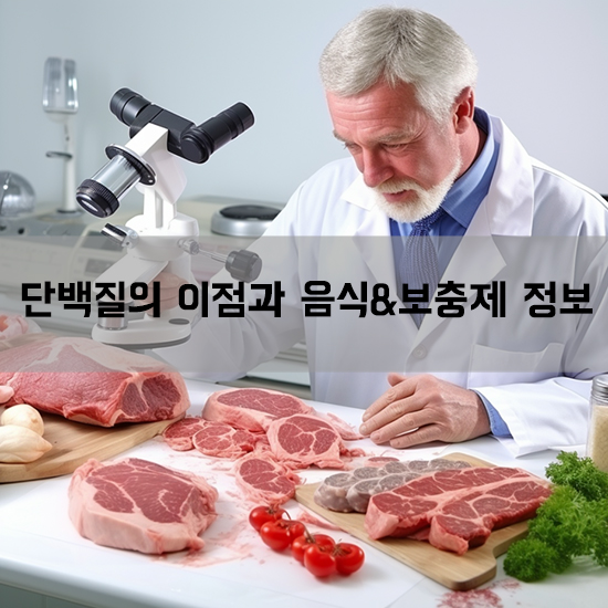 단백질의 이점과 음식&보충제 정보