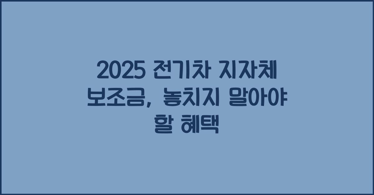 2025 전기차 지자체 보조금