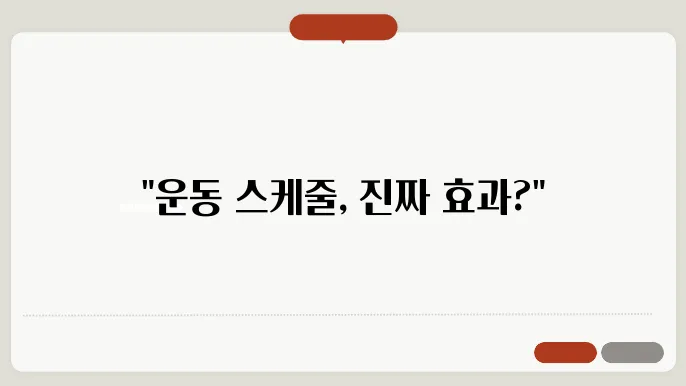 효과적인 운동 항목 구분