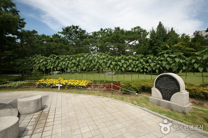 대구 가볼만한 단풍 여행은 어디일까? 대구 단풍 여행 총정리!