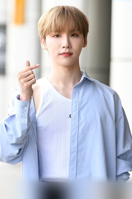 전웅 오행 분포