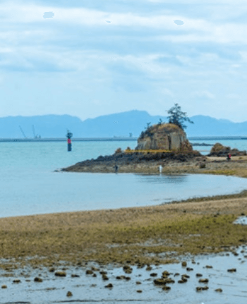 군산_무녀도_쥐똥섬_물때_당일치기_여행_추천코스