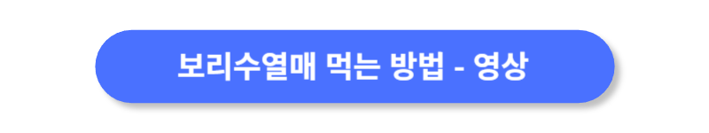 보리수열매-먹는-방법-영상