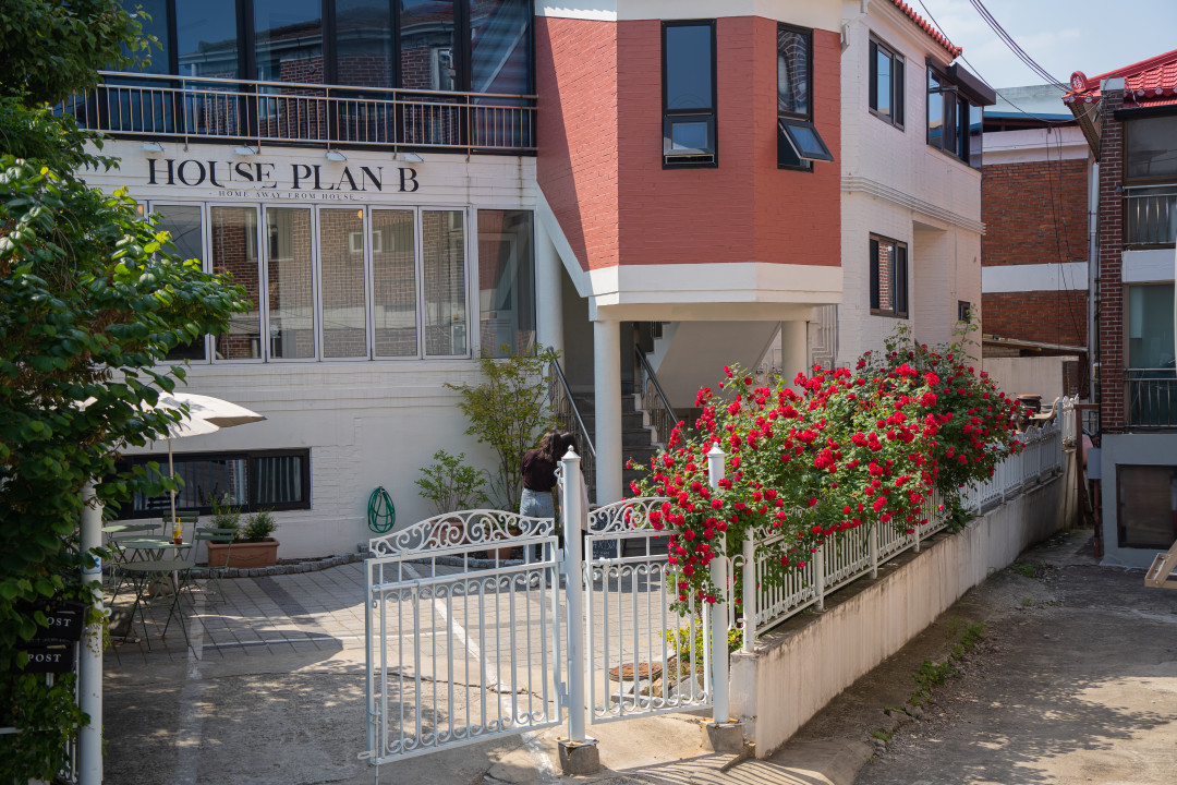 행궁동 하우스 플랜비 카페 장미