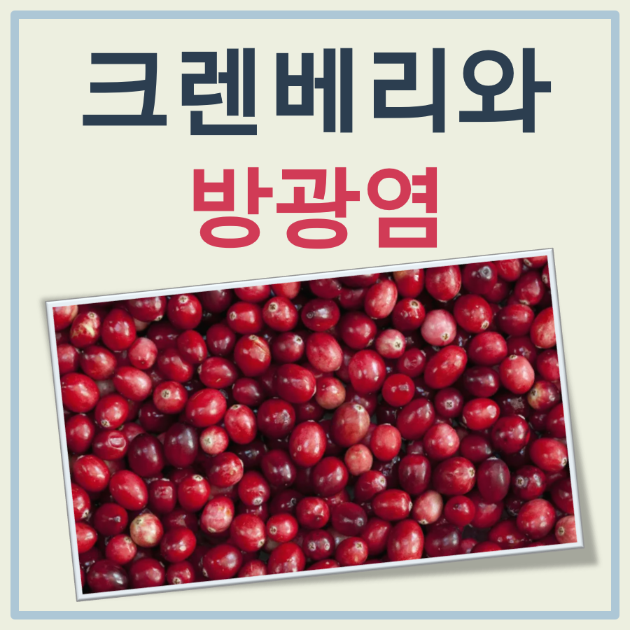크렌베리 방광염 대표 이미지