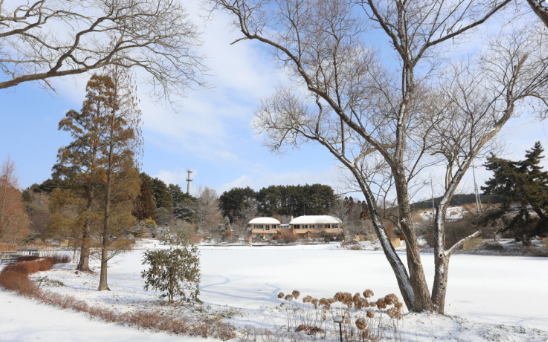 천리포 수목원 겨울