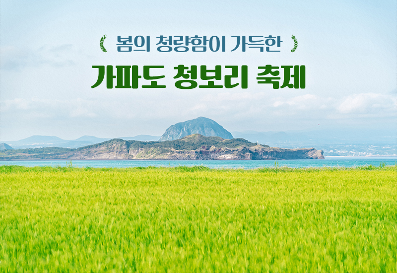 가파도청보리축제