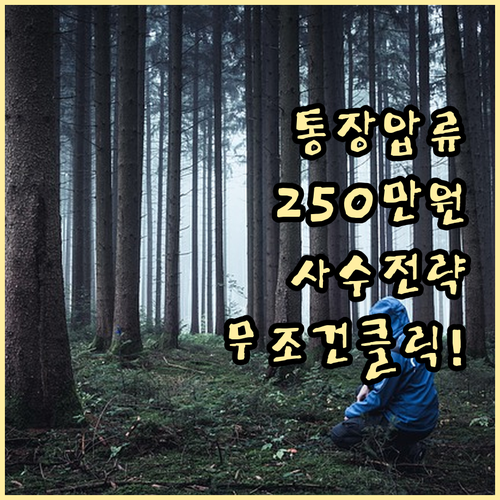 2024년 통장 압류금지 생계비 25..