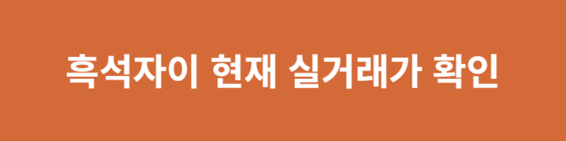 흑석자이