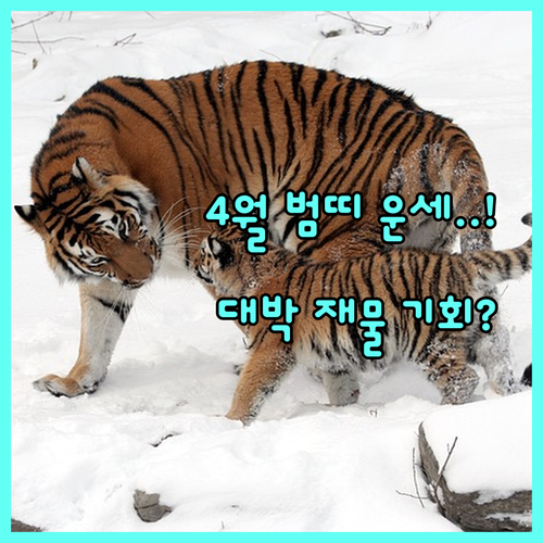 2026년 4월 1950년생 범띠 운..