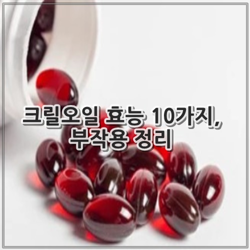 크릴오일 효능 10가지, 부작용 정리