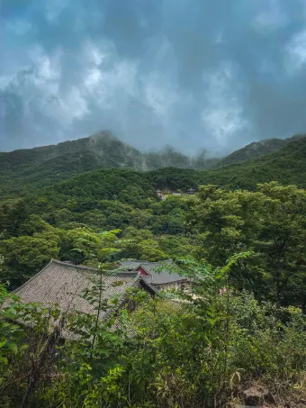 구례 가볼만한곳 베스트10 장터 현지인 맛집_13
