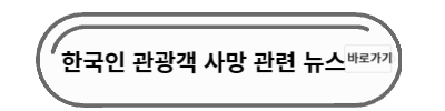 한국인 관광객 사망 뉴스