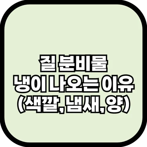 질 분비물이 나오는 이유