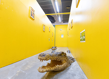 속초 얼라이브하트