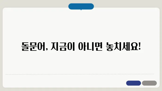 돌문어 금어기