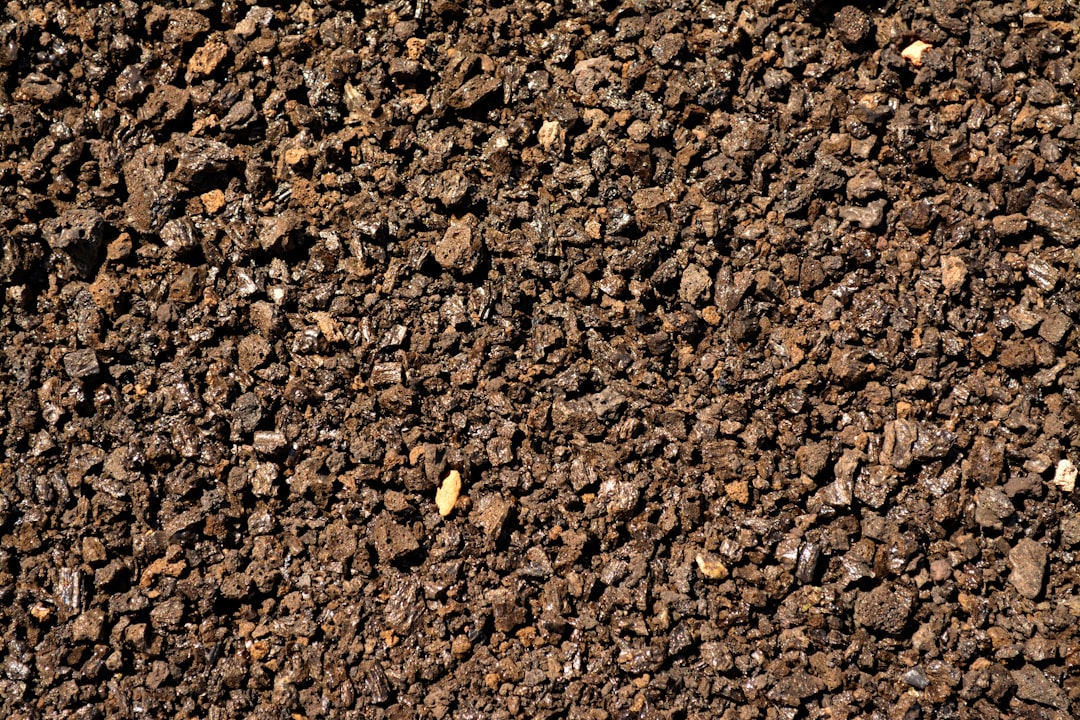 Soil