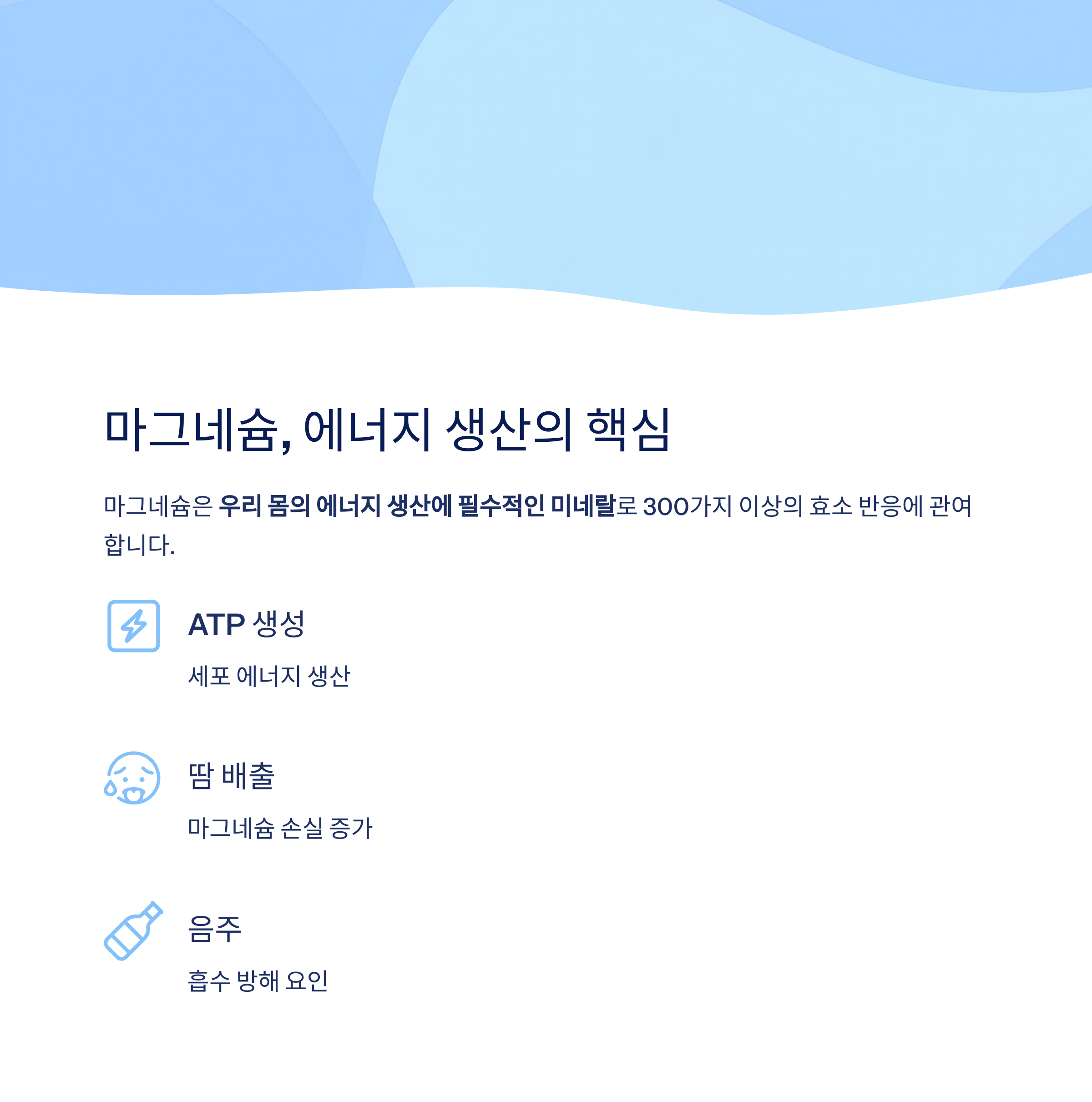마그네슘, 에너지 생산의 핵심