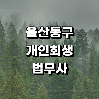 울산 동구 개인회생 법무사