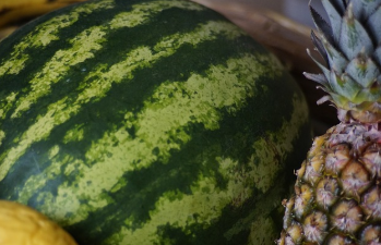 수박껍질 음식물쓰레기? 22