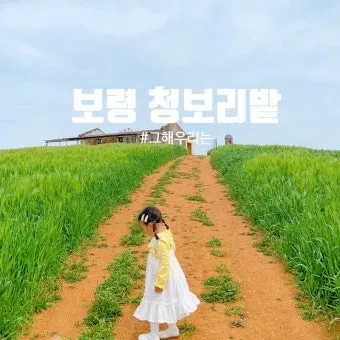 보령 가볼만한곳 맛집 추천 카페 아이랑 베스트 10_11