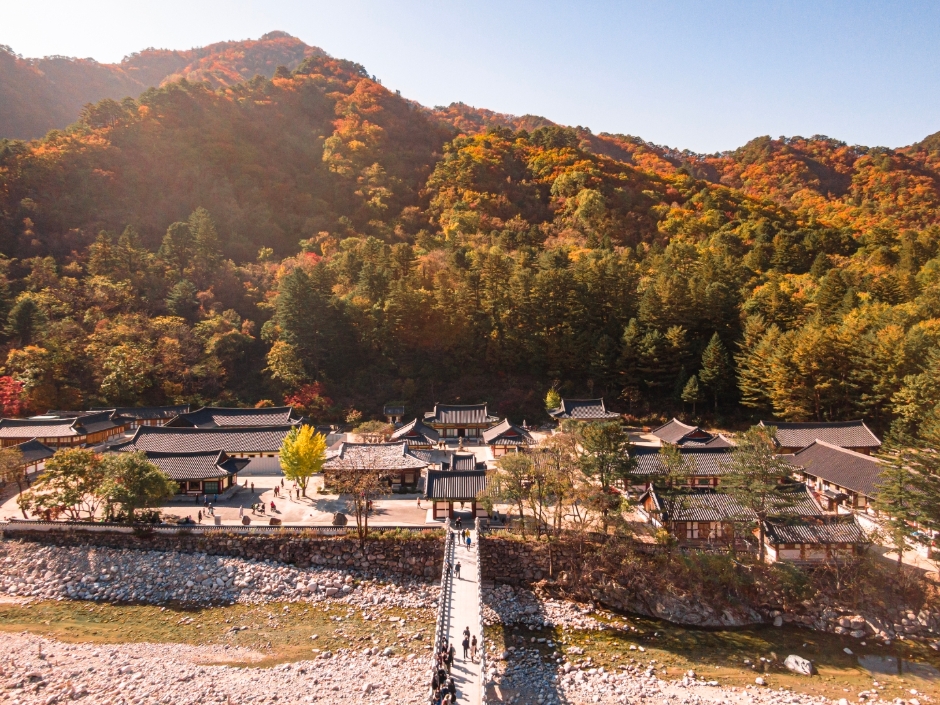 [강원도 여행지 추천] 인제 가볼만한 곳 베스트 10 백담사