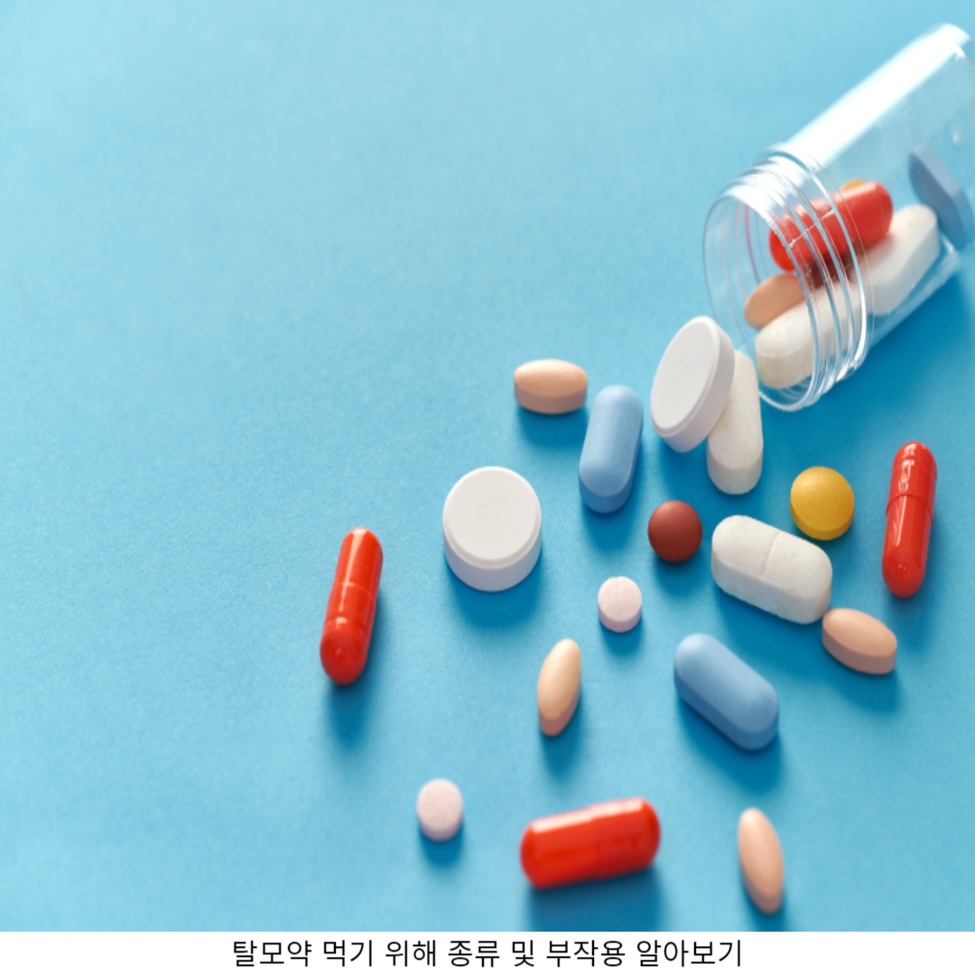 1. 탈모약 이란?