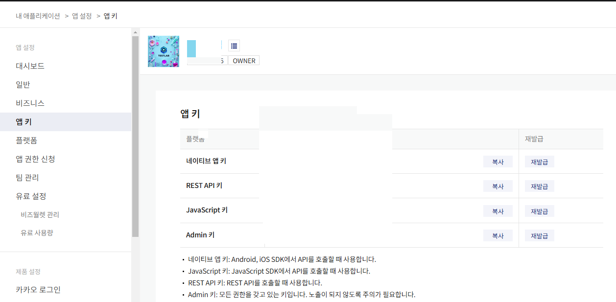 카카오디벨로퍼스 키발급