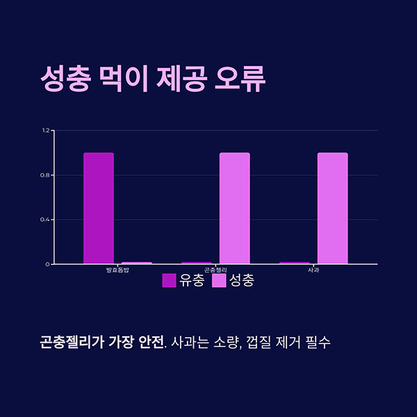성충 사육 시 먹이 제공 방식 오류