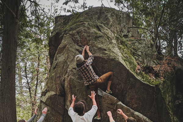 인체의 순환계 심혈관계 속 심장, 혈관, 판막