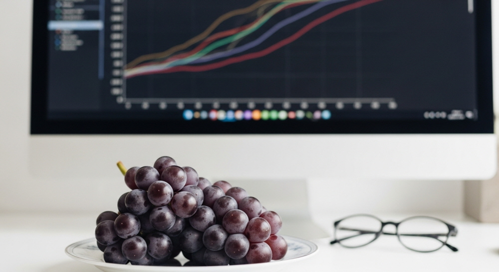 씨없는 거봉 효능