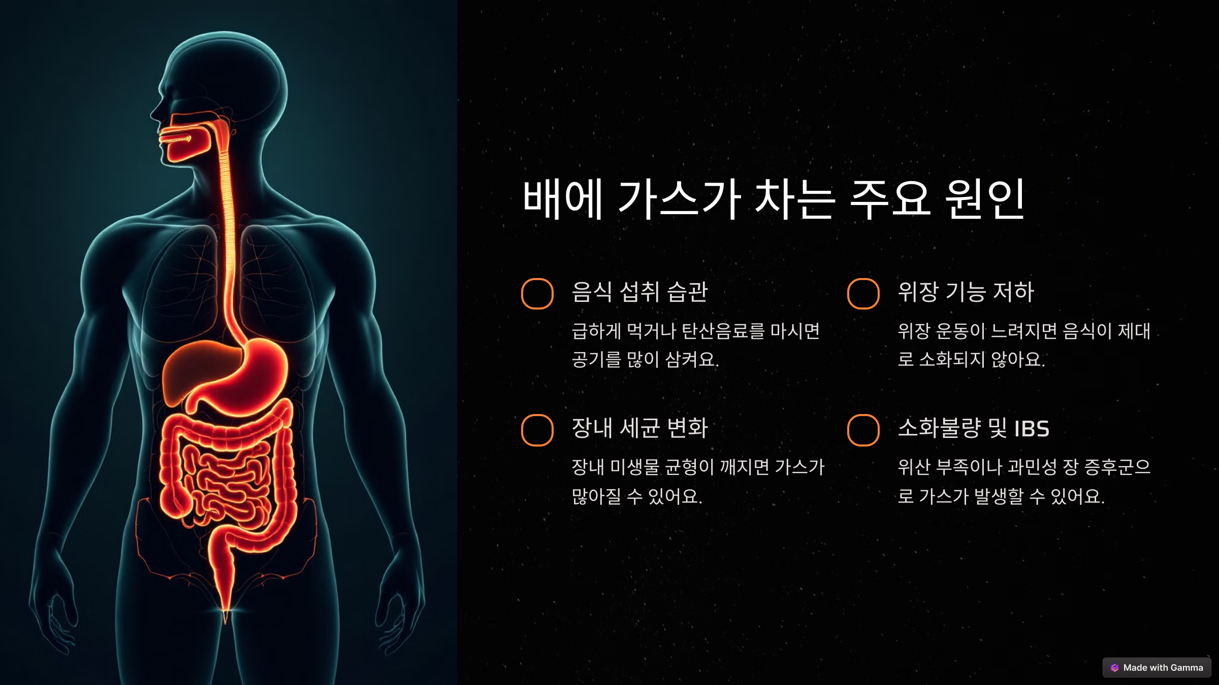 가스 찬 배, 단순 소화불량일까? 배에 가스가 자주 차는 진짜 이유?