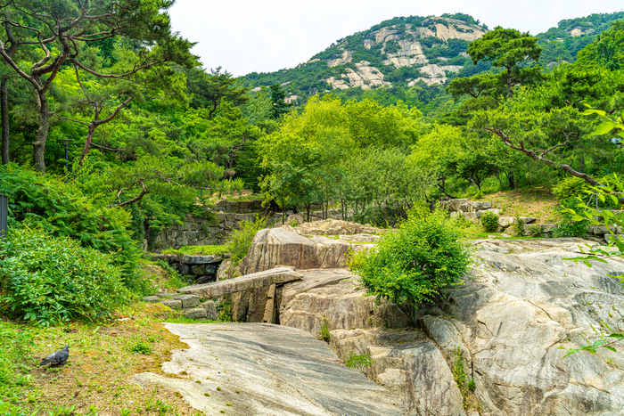 수성동계곡